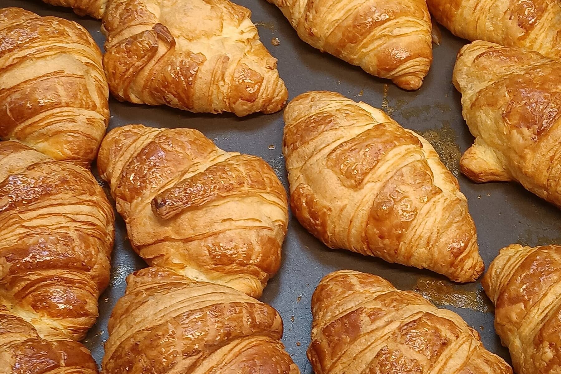 A tray of butter croissants fresh from the oven