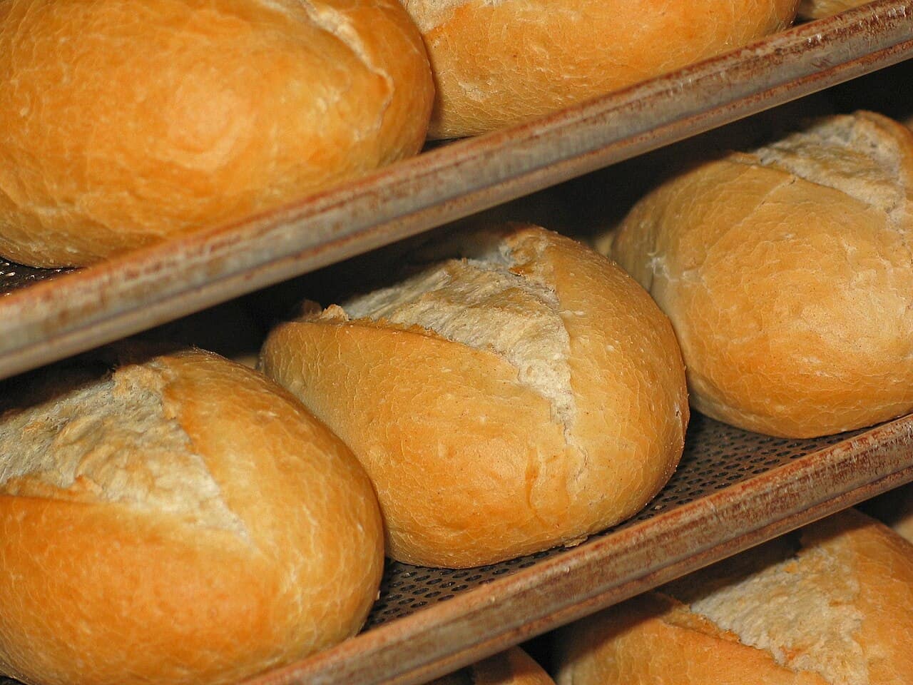 Racks of bread rolls cooling